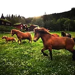 Cozy Retreat In Scenic Valley, E6 South Of Trondheim Støren
