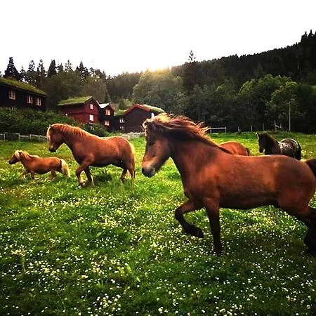 Cozy Retreat In Scenic Valley, E6 South Of Trondheim Støren