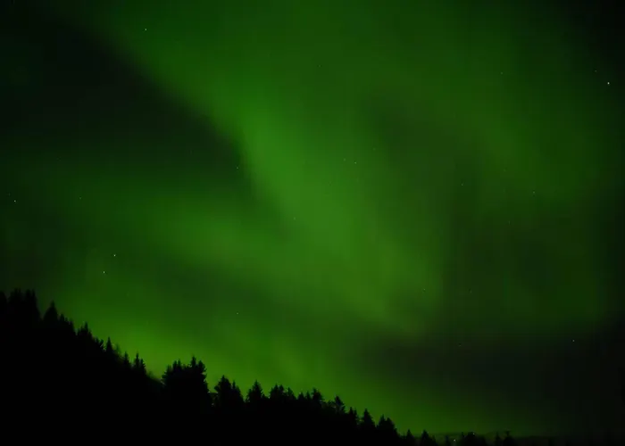 Cozy Retreat In Scenic Valley, E6 South Of Trondheim Ferienhaus *