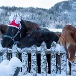 Cozy Retreat In Scenic Valley, E6 South Of Trondheim Prázdninový dům Støren