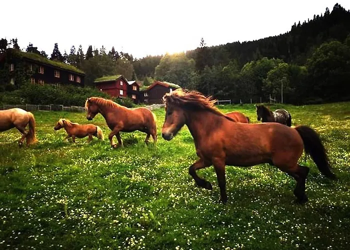 Cozy Retreat In Scenic Valley, E6 South Of Trondheim Støren
